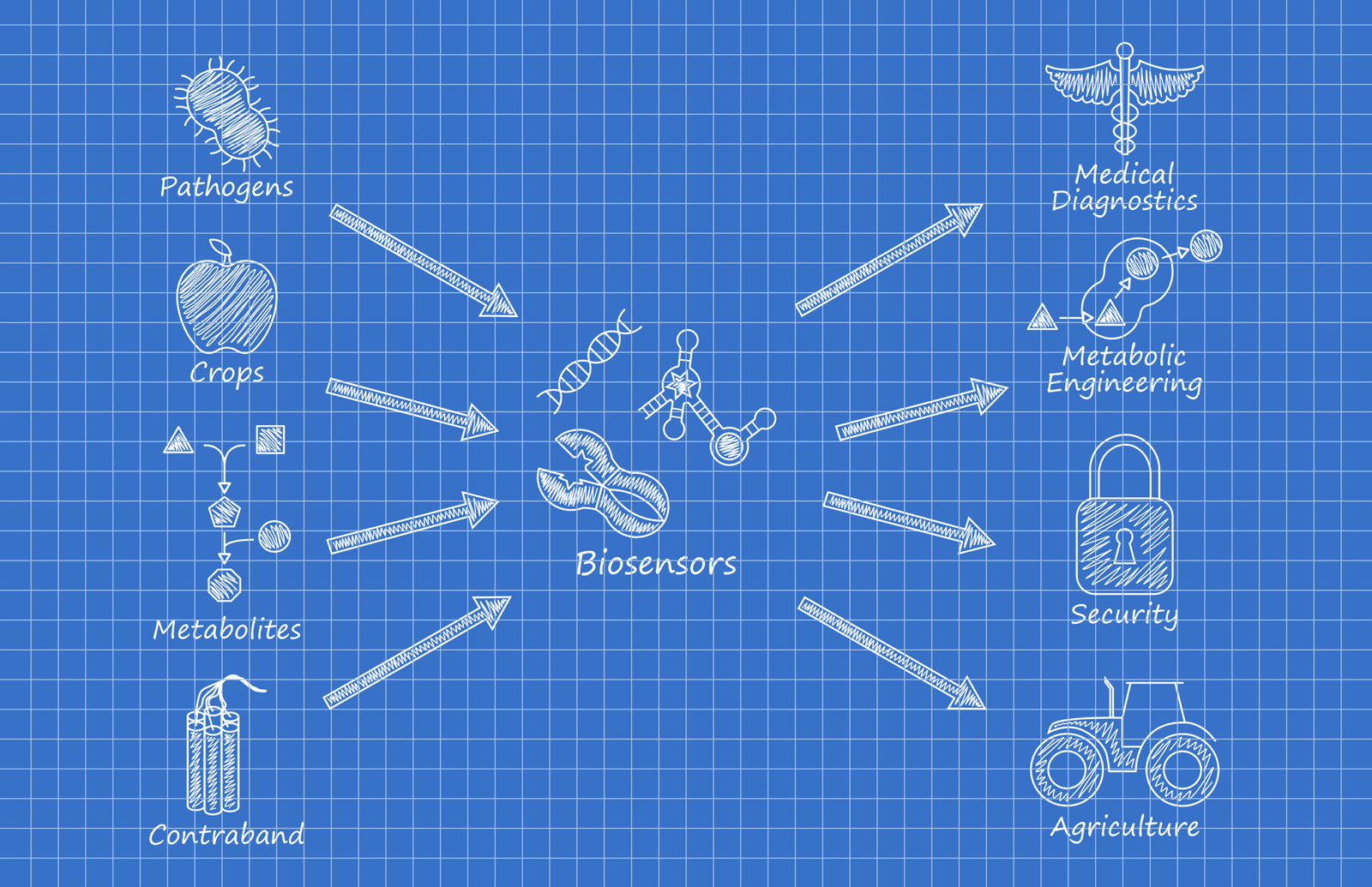 How to view, analyze and edit bio-sensor data set using Audacity(R) software?