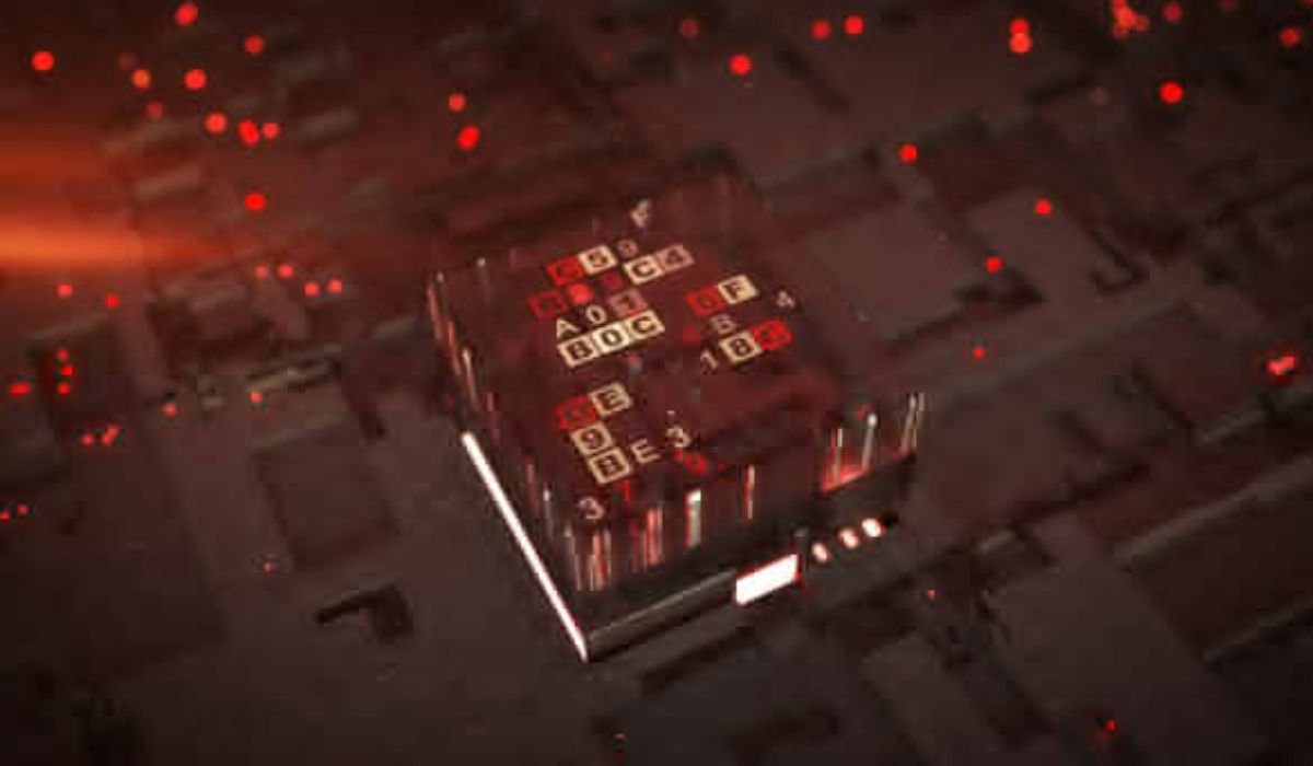 What's in qizdouyriz03