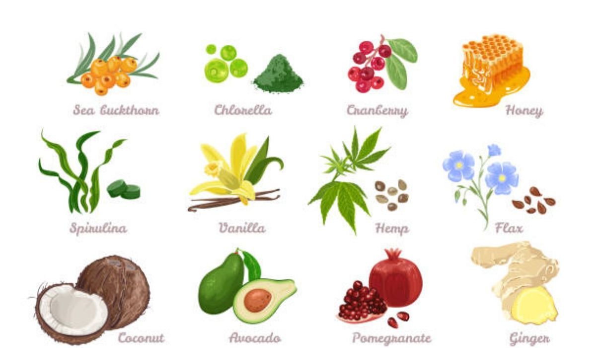 Primal Queen Ingredients